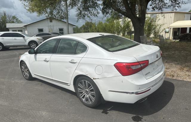 Photo 3 from auction – 2014 KIA CADENZA PR with VIN KNALN4D78E5138602