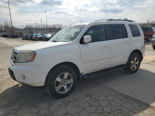 HONDA PILOT EXL 2009 with VIN 5FNYF486X9B041901 - Photo from auction