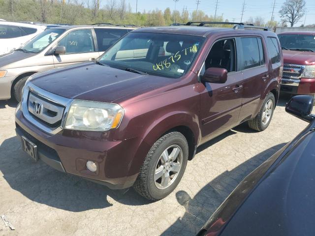 HONDA PILOT EXL 2011 with VIN 5FNYF4H60BB038981 - Photo from auction