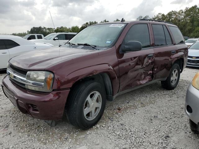 CHEVROLET TRAILBLAZE 2006 with VIN 1GNDS13S262179046 - Photo from auction
