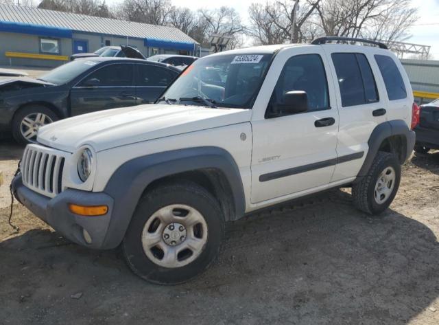 JEEP LIBERTY SP 2004 with VIN 1J4GL48K14W273271 - Photo from auction