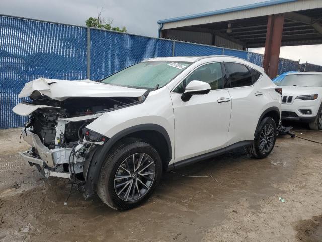 LEXUS NX 250 PRE 2024 with VIN 2T2GDCAZ2RC007788 - Photo from auction