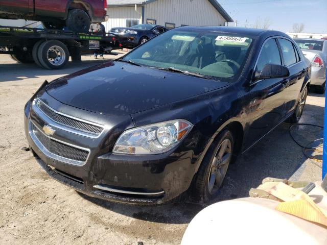 CHEVROLET MALIBU 1LT 2011 with VIN 1G1ZC5E15BF331629 - Photo from auction