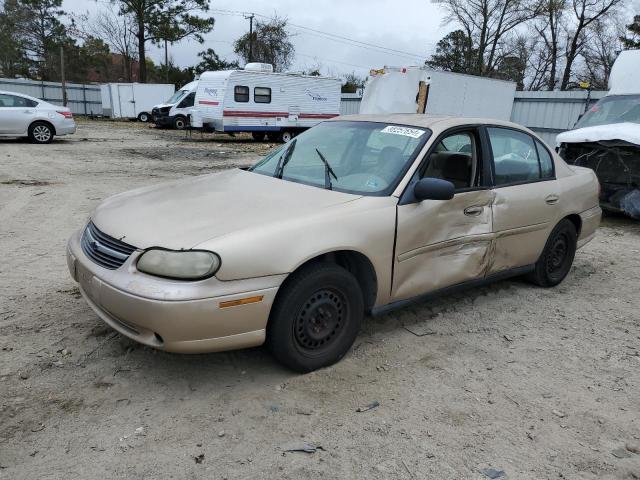 CHEVROLET MALIBU 2002 with VIN 1G1ND52J22M621161 - Photo from auction