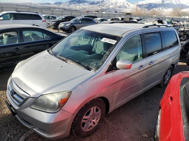 HONDA ODYSSEY EX 2007 with VIN 5FNRL38407B067720 - Photo from auction