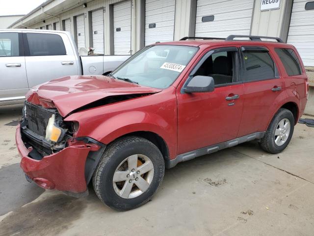 FORD ESCAPE XLT 2010 with VIN 1FMCU0DG3AKA29194 - Photo from auction