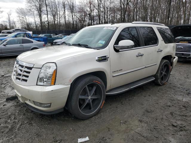 CADILLAC ESCALADE H 2010 with VIN 1GYUKEEJ3AR245800 - Photo from auction