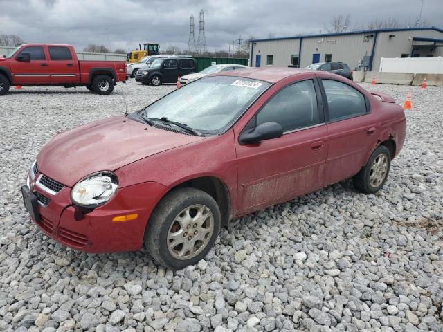 DODGE NEON SXT 2005 with VIN 1B3ES56C65D236314 - Photo from auction