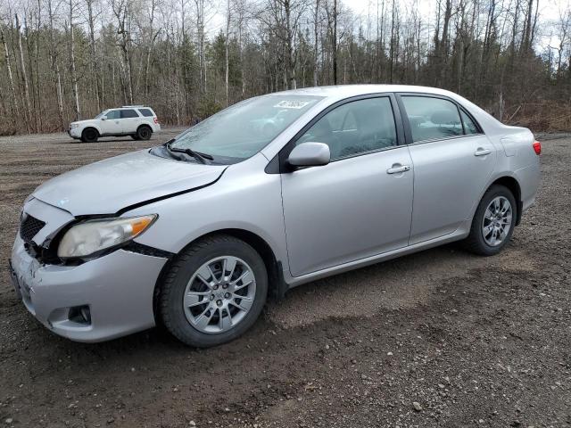 TOYOTA COROLLA BA 2010 with VIN 2T1BU4EEXAC356701 - Photo from auction