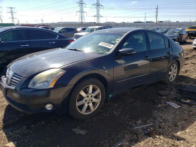 NISSAN MAXIMA SE 2005 with VIN 1N4BA41E85C804310 - Photo from auction