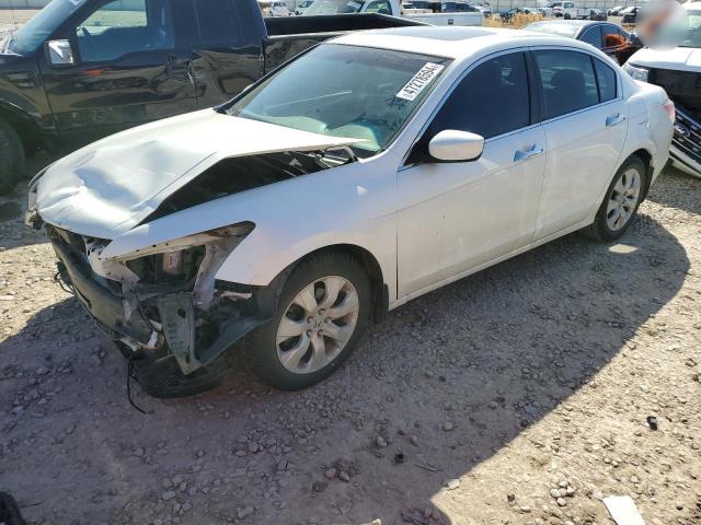 HONDA ACCORD EXL 2010 with VIN 1HGCP3F83AA026757 - Photo from auction