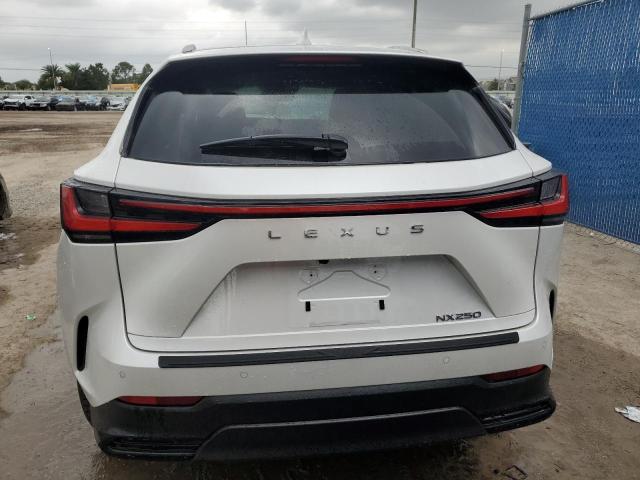 Photo 6 from auction – 2024 LEXUS NX 250 PRE with VIN 2T2GDCAZ2RC007788