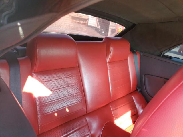Photo 10 from auction – 2005 FORD MUSTANG with VIN 1ZVFT84N855253936