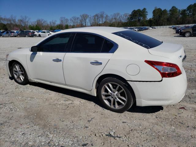 Photo 2 from auction – 2010 NISSAN MAXIMA S with VIN 1N4AA5AP1AC809068