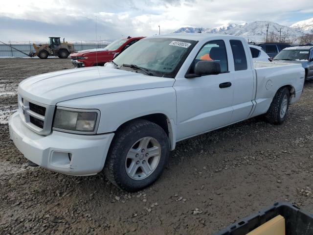 DODGE DAKOTA SXT 2010 with VIN 1D7RW3BK1AS207966 - Photo from auction