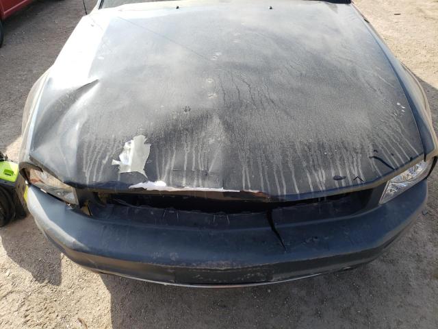 Photo 11 from auction – 2005 FORD MUSTANG with VIN 1ZVFT80N855143779