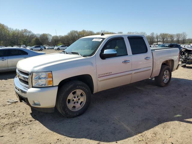 CHEVROLET 1500 2011 with VIN 3GCPCSE01BG250193 - Photo from auction