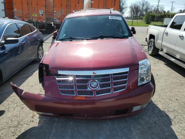 Photo 5 from auction – 2010 CADILLAC ESCALADE with VIN 1GYUKAEF8AR234411