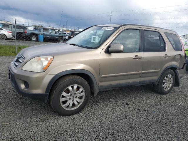 HONDA CR-V SE 2006 with VIN JHLRD78956C051561 - Photo from auction
