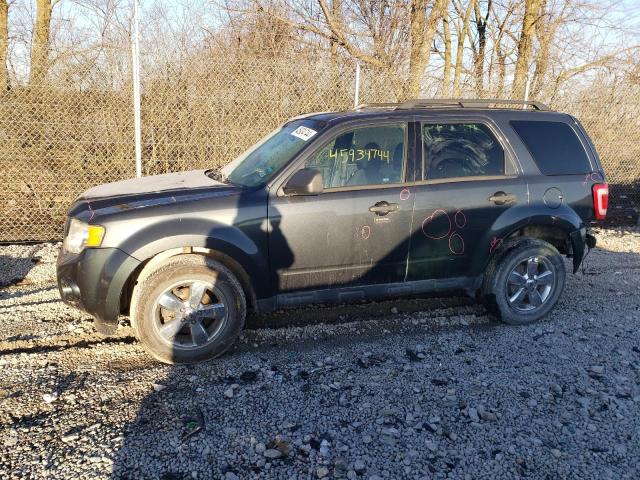FORD ESCAPE XLT 2009 with VIN 1FMCU03709KC86066 - Photo from auction
