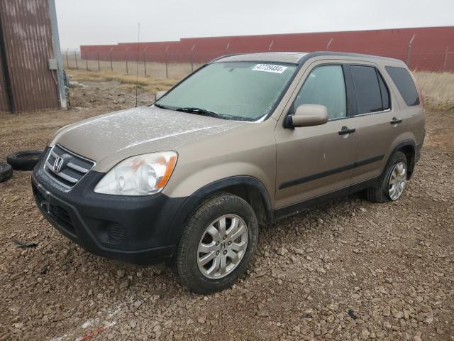 HONDA CR-V EX 2006 with VIN JHLRD78876C056459 - Photo from auction