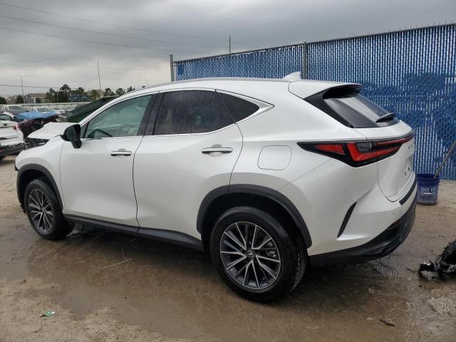 Photo 2 from auction – 2024 LEXUS NX 250 PRE with VIN 2T2GDCAZ2RC007788