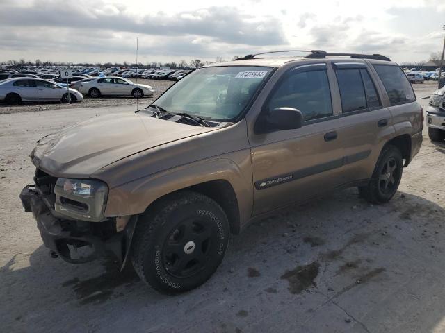 CHEVROLET TRAILBLAZE 2003 with VIN 1GNDT13S732246216 - Photo from auction