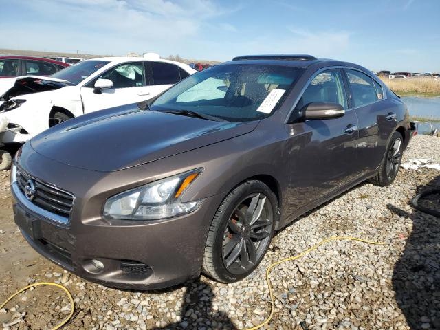 NISSAN MAXIMA S 2014 مع رقم تعريف المركبة 1N4AA5AP6EC437880 - صورة من المزاد