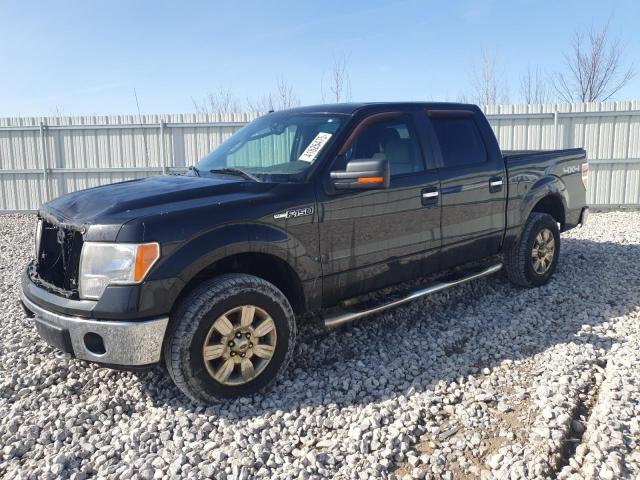 FORD F150 SUPER 2010 with VIN 1FTFW1EV9AFA55371 - Photo from auction