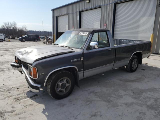 DODGE DAKOTA 1987 with VIN 1B7GN14M1HS422720 - Photo from auction