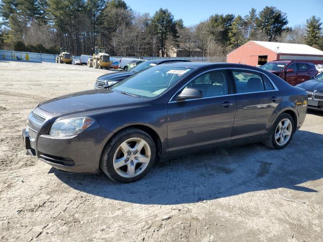 CHEVROLET MALIBU CLA 2011 with VIN 1G1ZB5E13BF313343 - Photo from auction