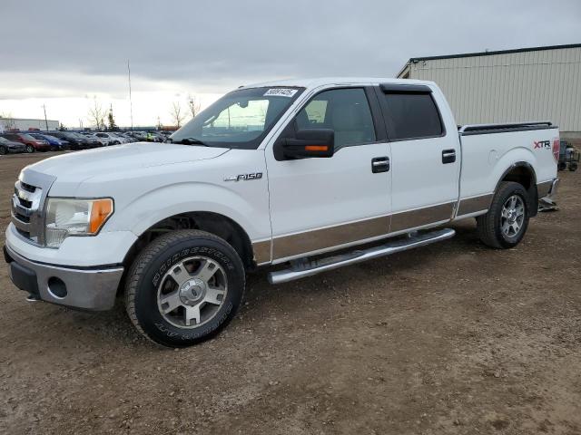 FORD F150 SUPER 2010 with VIN 1FTFW1EV6AFC40249 - Photo from auction
