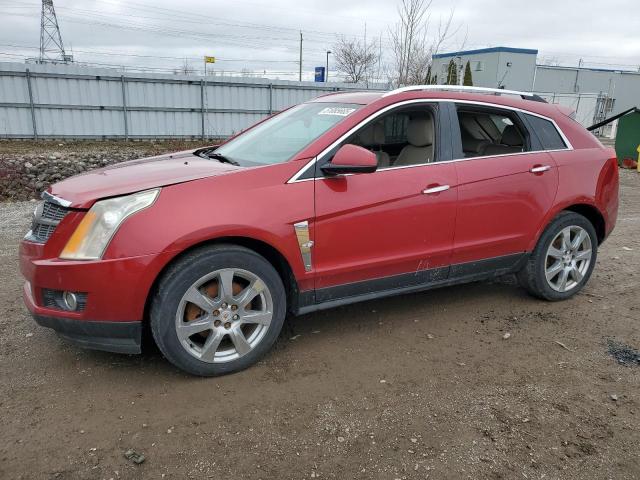 CADILLAC SRX PERFOR 2010 with VIN 3GYFNEE43AS617028 - Photo from auction