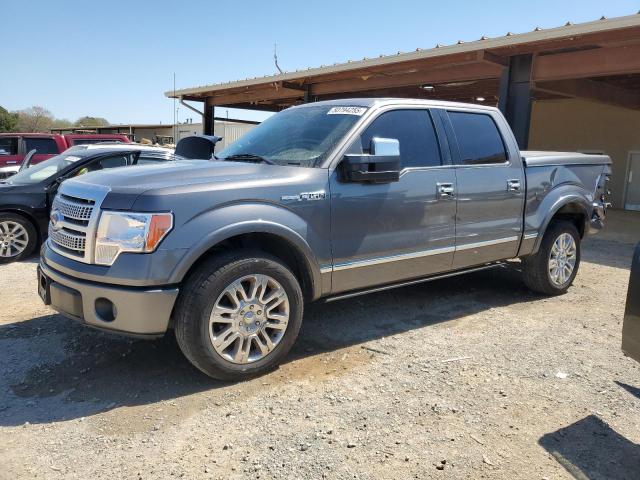 FORD F150 SUPER 2010 with VIN 1FTFW1CV0AFB49285 - Photo from auction