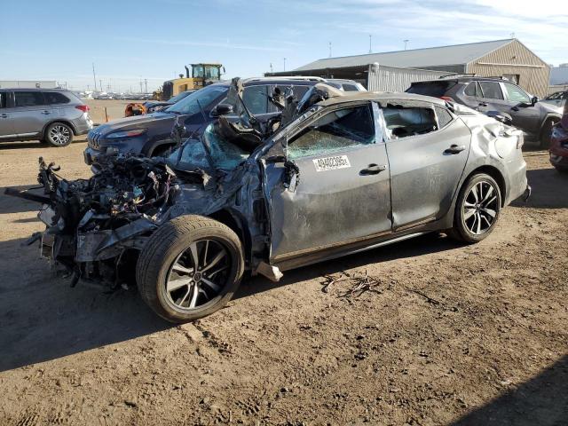 NISSAN MAXIMA SV 2023 with VIN 1N4AA6CV9PC508607 - Photo from auction