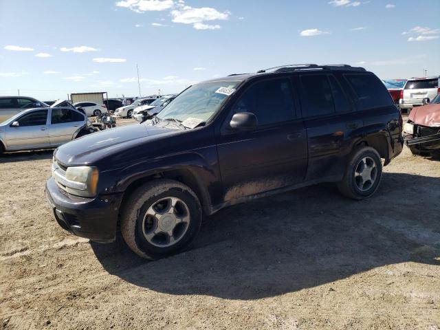 Photo 1 from auction – 2008 CHEVROLET TRAILBLAZE with VIN 1GNDT13S982106806