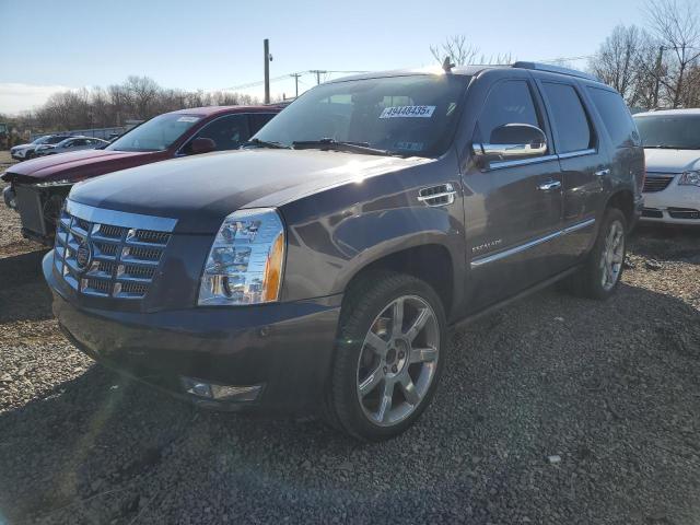 CADILLAC ESCALADE P 2010 with VIN 1GYUKCEF2AR264970 - Photo from auction
