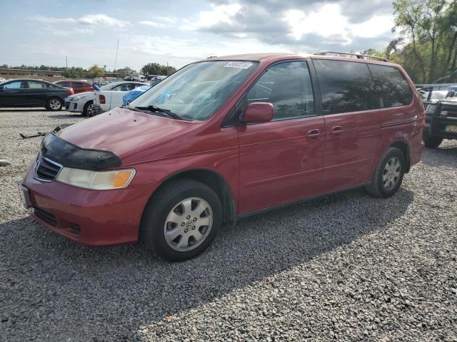 HONDA ODYSSEY EX 2003 with VIN 5FNRL18013B043597 - Photo from auction