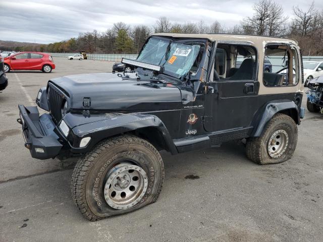 JEEP WRANGLER / 2002 with VIN 1J4FA59S02P740550 - Photo from auction