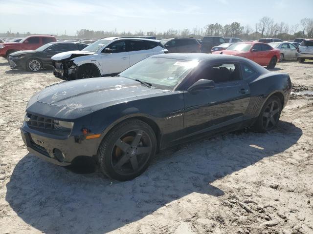 CHEVROLET CAMARO LS 2010 with VIN 2G1FA1EV3A9175179 - Photo from auction