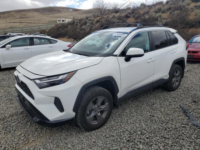 TOYOTA RAV4 LE 2024 with VIN 4T3MWRFV7RU130499 - Photo from auction