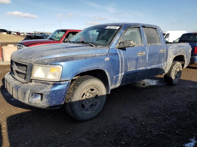 DODGE DAKOTA SLT 2011 with VIN 1D7RW3GP6BS683006 - Photo from auction