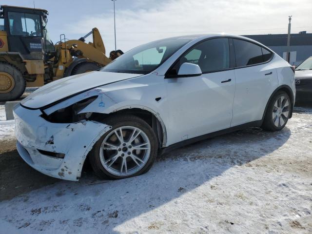 TESLA MODEL Y 2021 with VIN 5YJYGDEE3MF302187 - Photo from auction