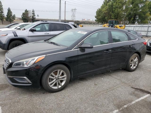 HYUNDAI SONATA SE 2016 with VIN 5NPE24AF6GH362454 - Photo from auction