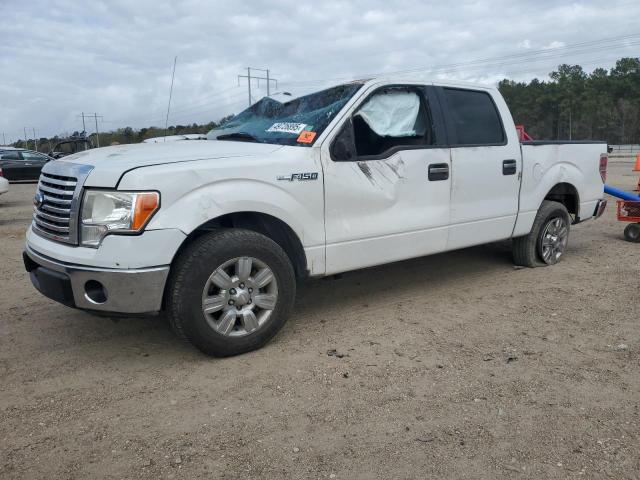 FORD F150 SUPER 2010 with VIN 1FTEW1C84AFD01686 - Photo from auction