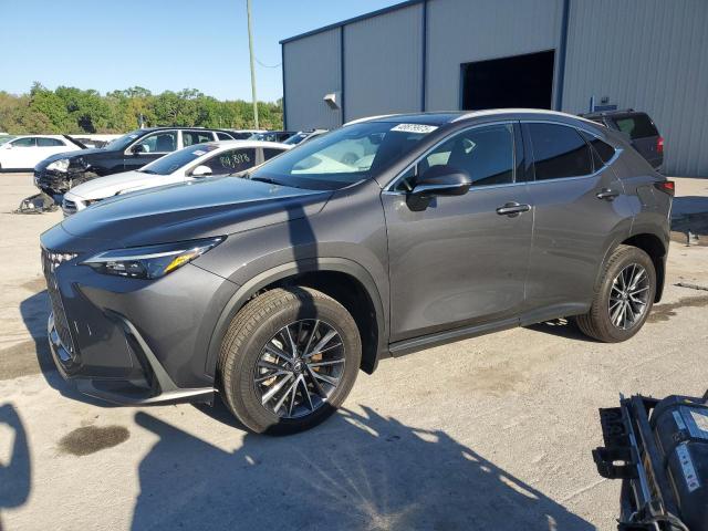 LEXUS NX 250 BAS 2024 z numerem VIN 2T2ADCAZ5RC008083 - Zdjęcie z aukcji