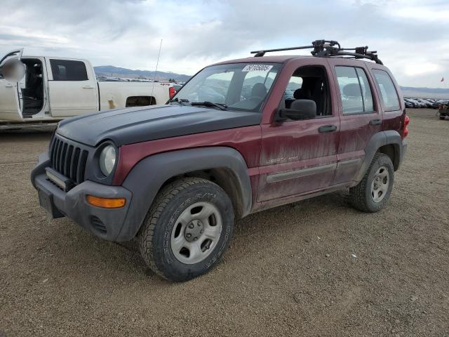 JEEP LIBERRTY 2003 with VIN 1J4GL48K03W668976 - Photo from auction