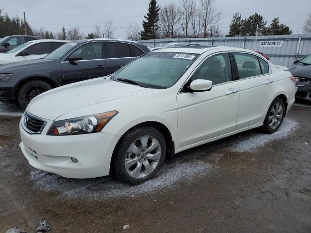 HONDA ACCORD EXL 2010 with VIN 5KBCP3F86AB005540 - Photo from auction