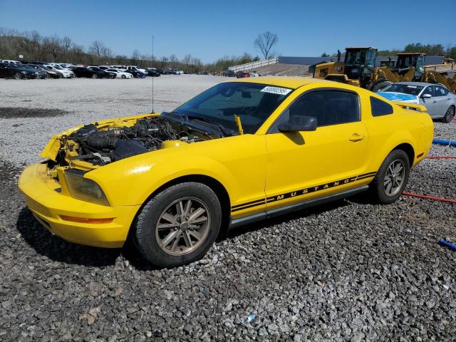 FORD MUSTANG 2005 with VIN 1ZVFT80N055243648 - Photo from auction