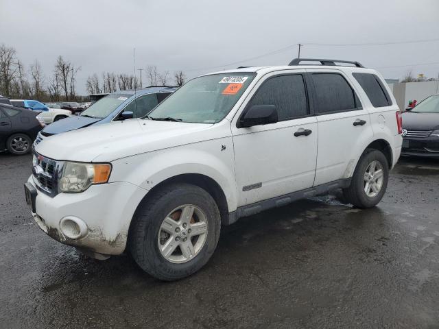 FORD ESCAPE HEV 2008 with VIN 1FMCU59H28KC89997 - Photo from auction